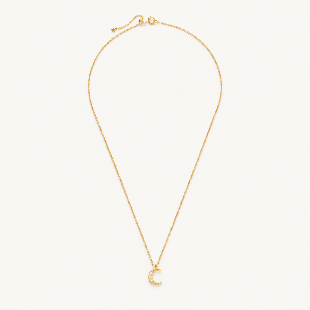PF-CRESCENT-MOON-CHARM-NECKLACE main product image