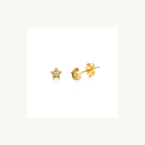 Shining Star Stud Earrings